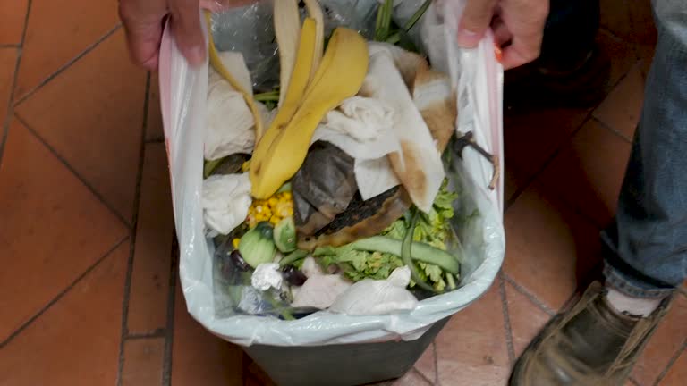 Best Property Management Cleanouts  in Valhalla, NY